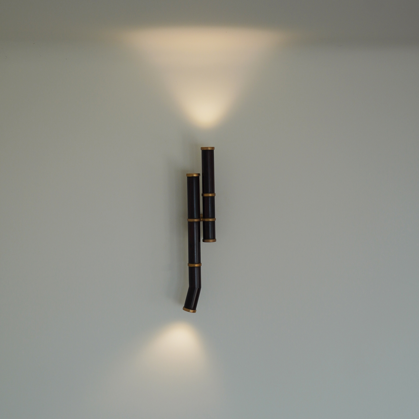 Twin Bamboo Sconce